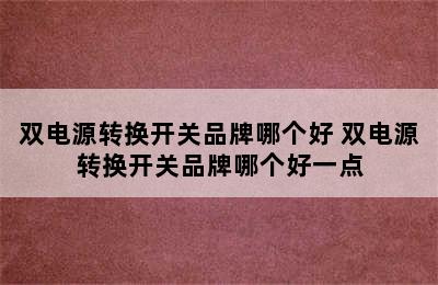 双电源转换开关品牌哪个好 双电源转换开关品牌哪个好一点